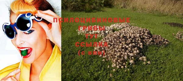 экстази Алексин