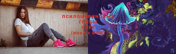 стаф Алексеевка