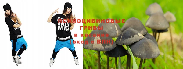 стаф Алексеевка