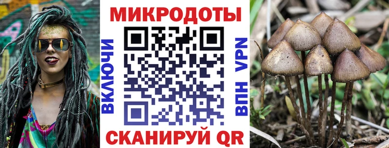 Галлюциногенные грибы мухоморы сколько стоит МЕГА как зайти Амурск